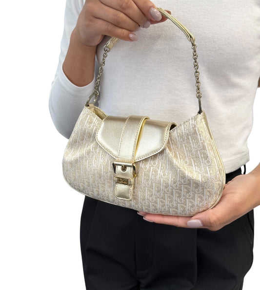 Christian Dior Vintage 2002 Trotter Monogram Chain Mini Bag Pochette White Gold