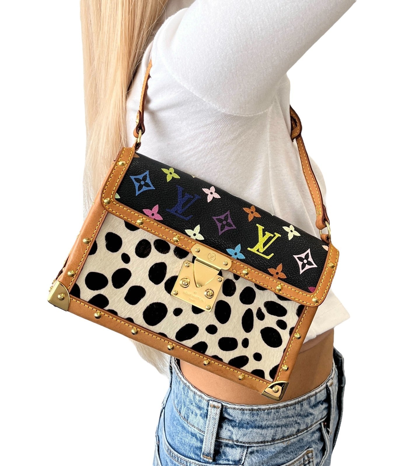 LOUIS VUITTON Vintage Monogram Multicolor Sac Dalmatien Mini Bag Pony Calf Hair
