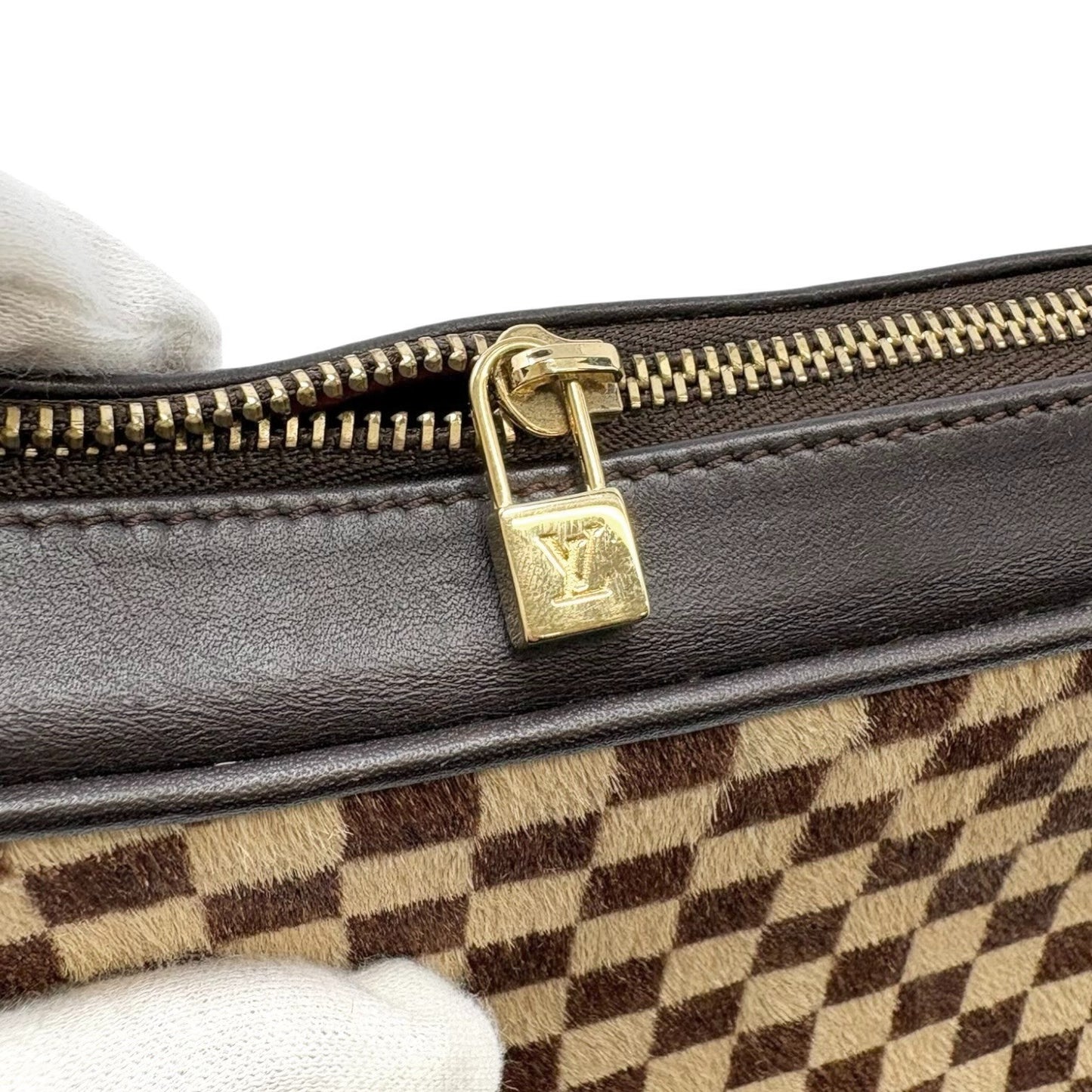 LOUIS VUITTON Vintage Damier Sauvage Tigre Pony Calf Hair Mini Bag Brown Beige