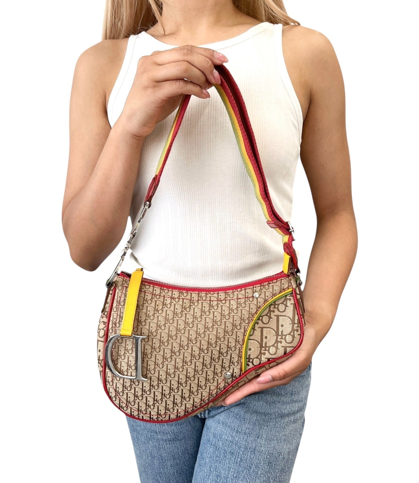 Christian Dior Vintage 2004 Trotter Monogram Logo Saddle Bag Rasta Brown