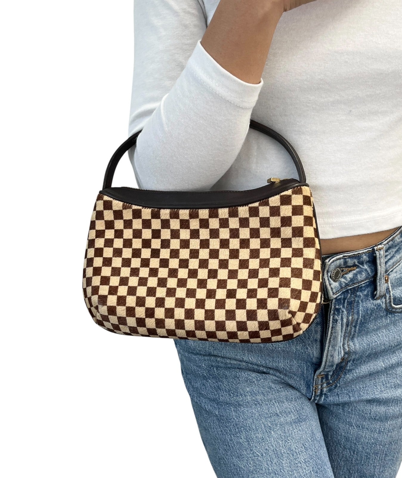 LOUIS VUITTON Vintage Damier Sauvage Tigre Pony Calf Hair Mini Bag Brown Beige